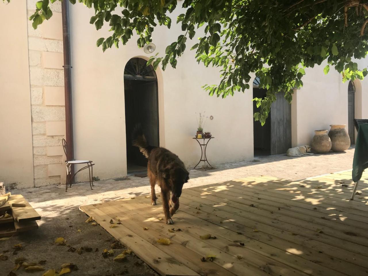 A Loghja Di Cavallo Morto Bonifacio  Eksteriør billede
